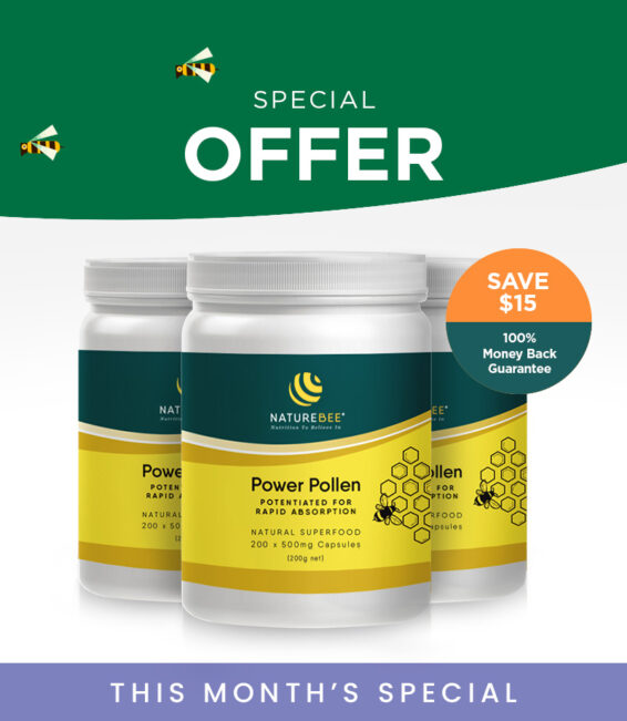 NatureBee Power Pollen Family Pack – 3 Month Supply for 3 people (600 caps)