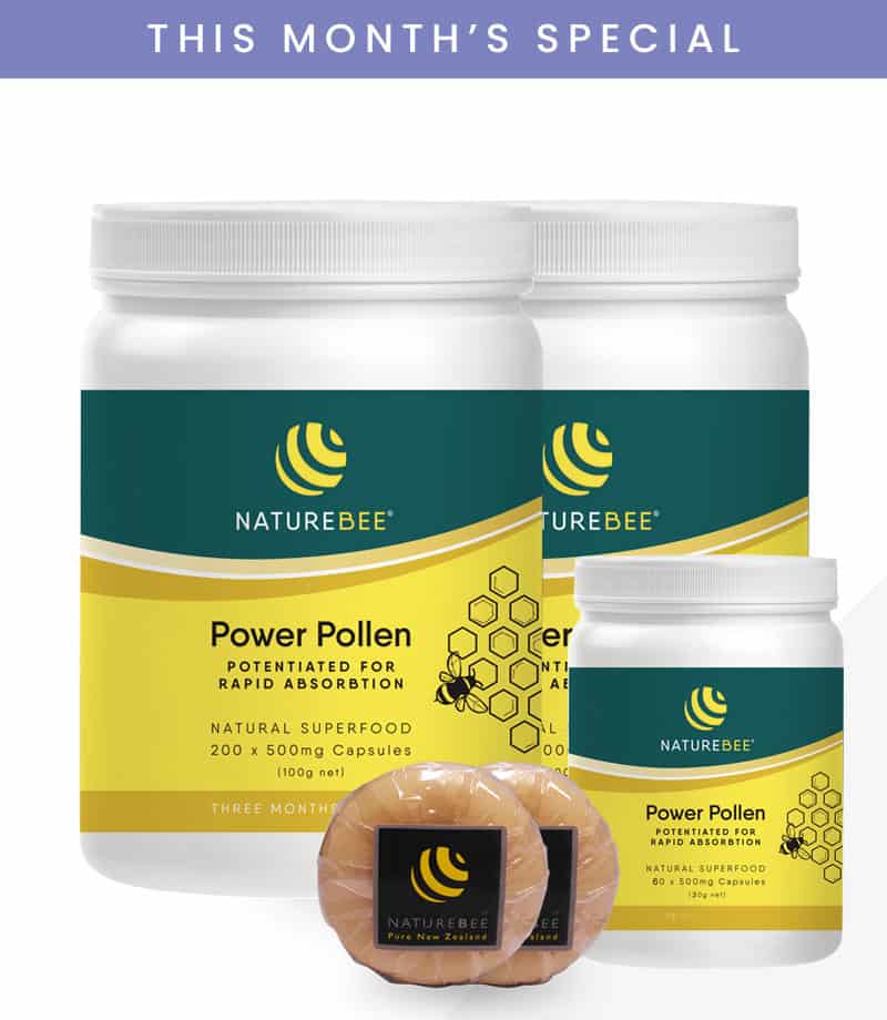 NatureBee Power Pollen Partner Pack + 60 Caps + 2 Pcs Honey Pollen Soap ...