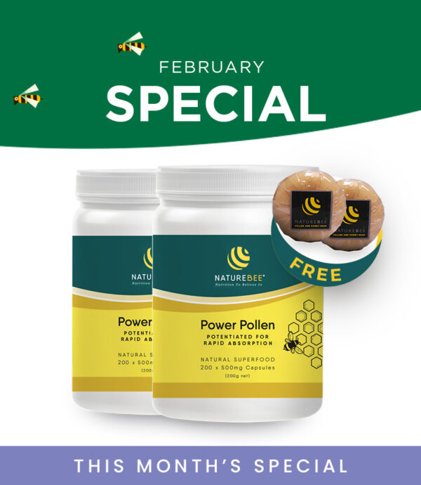 NatureBee Power Pollen Partner Pack + 2 Honey Pollen Soaps