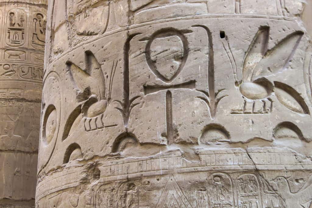 Hieroglyphs of Egyptian Bees - Columns of Karnak, Luxor