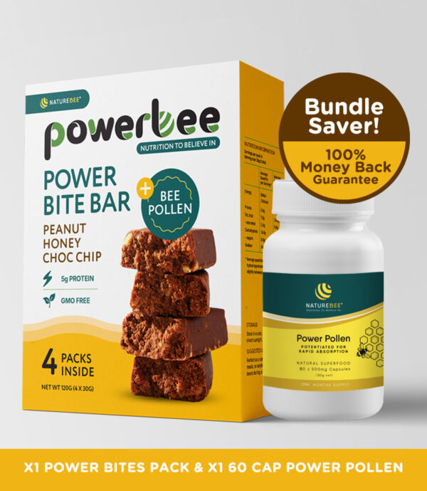 Powerbee Crunchy Peanut Honey Choc Chip Starter Bundle