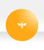 Queen Bee Night Face Cream