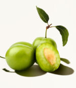 Hive Cleansing Facial Foam